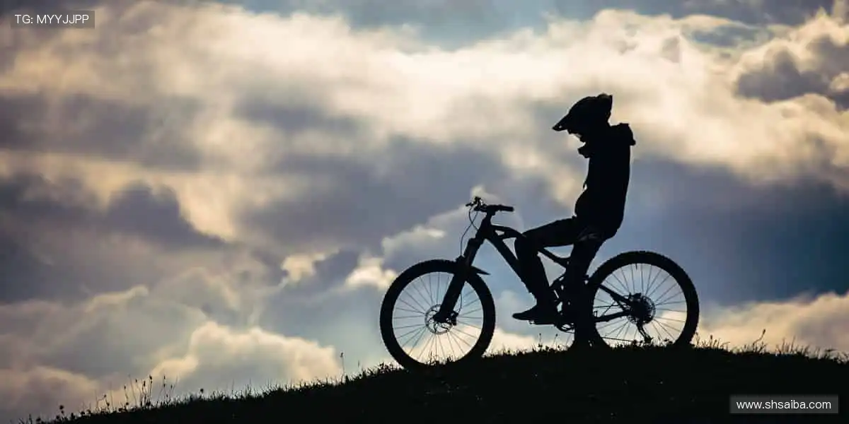 💻专业解说 + 实时互动，全球球迷同频狂欢！💥